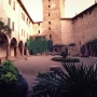 Terre Matildiche