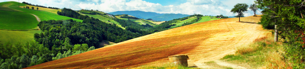 La Strada del Prosciutto e dei Vini dei Colli