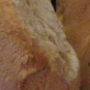 Il pane tradizionale